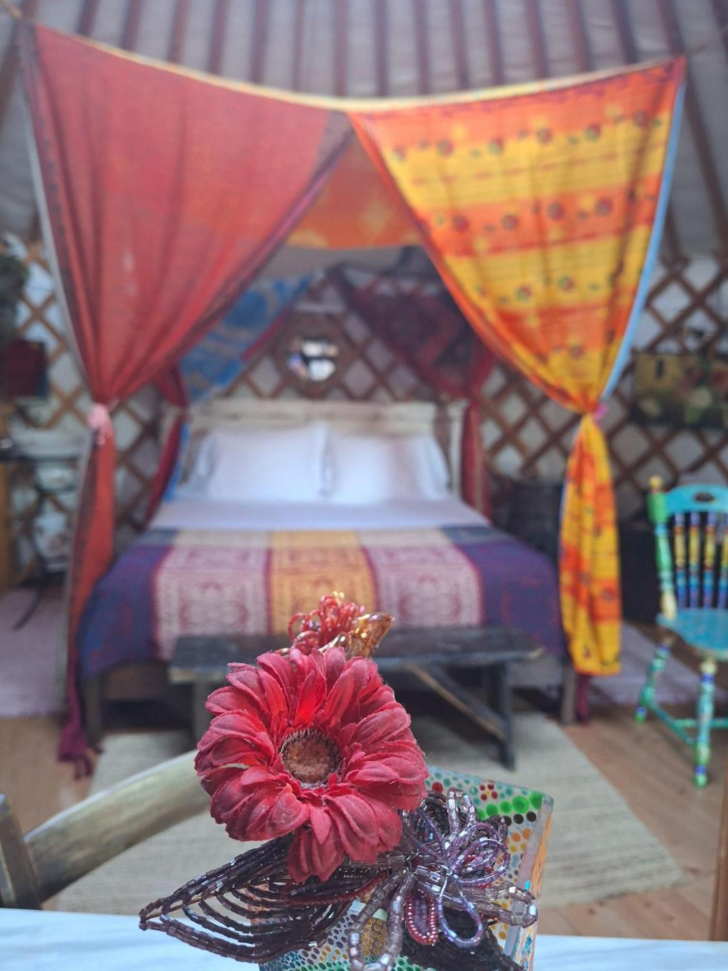 2 Cuori E 1 Yurta Glamping In Tuscany - Adults Only Asciano Eksteriør bilde